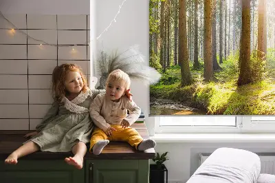 Fenster rollo Die Sonne scheint durch die Bäume