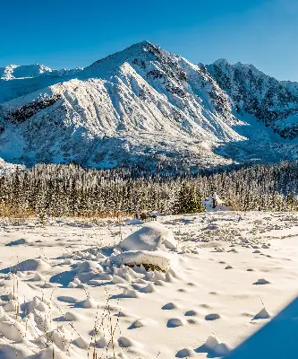 Rollo lichtundurchlässig Gebirge