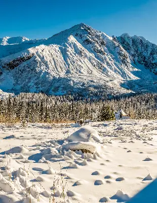 Rollo lichtundurchlässig Gebirge
