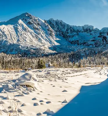 Rollo lichtundurchlässig Gebirge