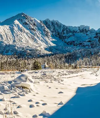 Rollo lichtundurchlässig Gebirge