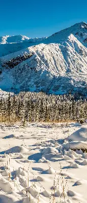 Rollo lichtundurchlässig Gebirge