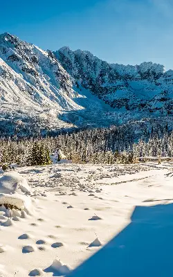 Rollo lichtundurchlässig Gebirge