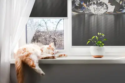 Fenster rollo Diamanten