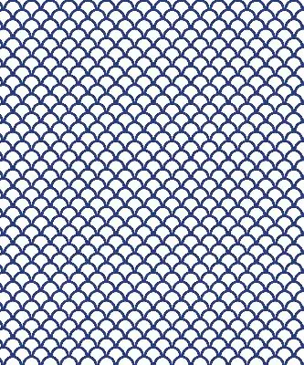 Fenster rollo Blaue Schuppen