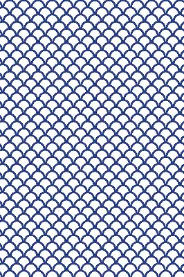 Fenster rollo Blaue Schuppen