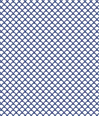 Fenster rollo Blaue Schuppen