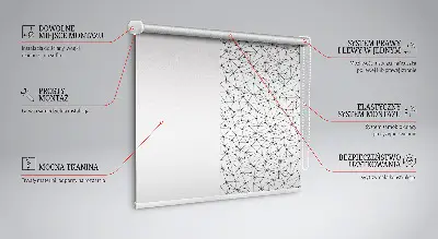 Fenster rollo Verbundene Punkte