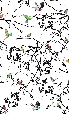 Verdunkelungsrollo Vögel auf den Zweigen