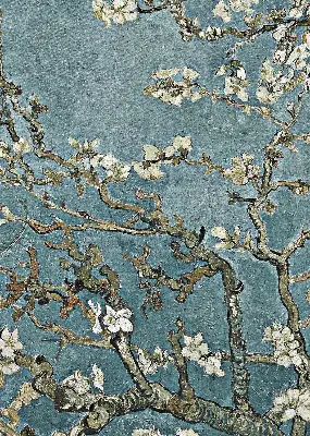 Fenster rollo Zweige auf blauem Hintergrund