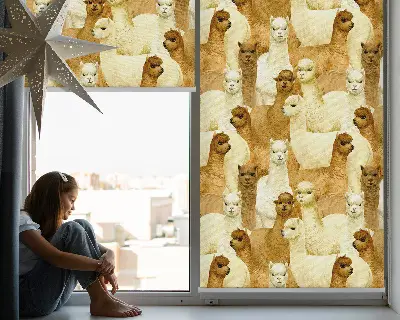 Fenster rollo Eine Alpakaherde