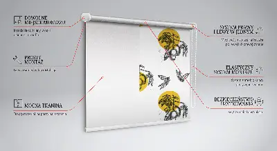 Fenster rollo Früchte und gelbe Kreise