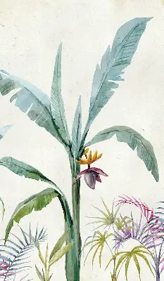 Verdunkelungsrollo Exotische Natur