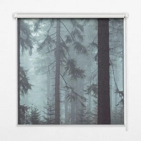 Rollo lichtundurchlässig Wald bei Nacht