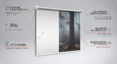 Rollo lichtundurchlässig Wald bei Nacht