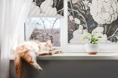 Fenster rollo Ein Blumenstrauß