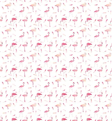 Verdunkelungsrollo Flamingos und ihre Federn