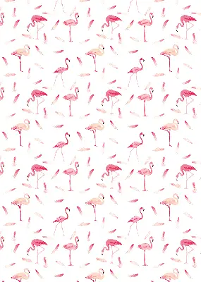 Verdunkelungsrollo Flamingos und ihre Federn