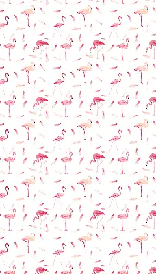 Verdunkelungsrollo Flamingos und ihre Federn