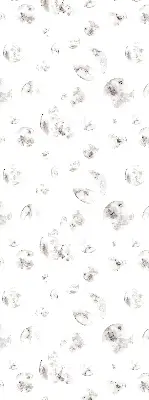 Verdunkelungsrollo Planeten