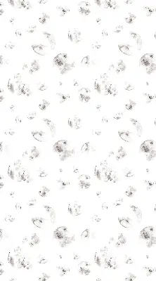 Verdunkelungsrollo Planeten