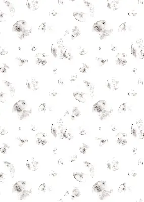 Verdunkelungsrollo Planeten