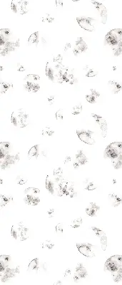 Verdunkelungsrollo Planeten
