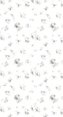 Verdunkelungsrollo Planeten