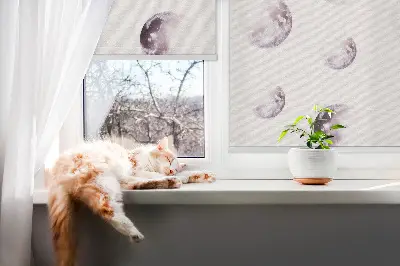 Fenster rollo Graue Planeten