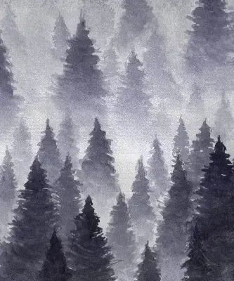 Verdunkelungsrollo Nebelwald