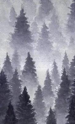 Verdunkelungsrollo Nebelwald