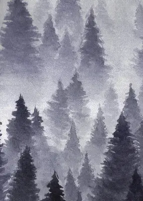 Verdunkelungsrollo Nebelwald