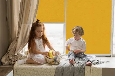 Fenster rollo Orange