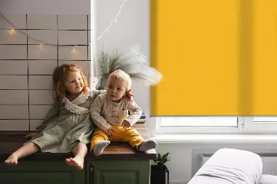 Fenster rollo Orange