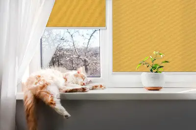 Fenster rollo Orange