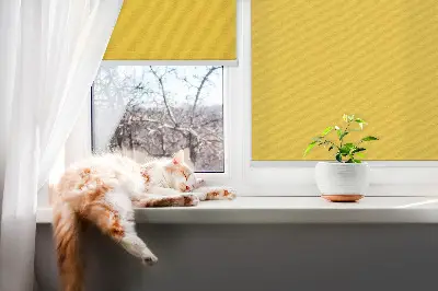 Rollo lichtundurchlässig Leuchtendes Orange
