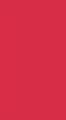 Fenster rollo Rot