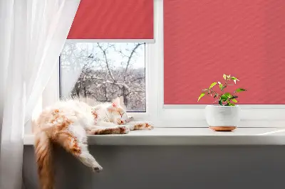 Rollo lichtundurchlässig Rot