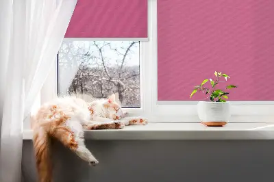 Fenster rollo Rosa