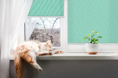 Fenster rollo Türkis