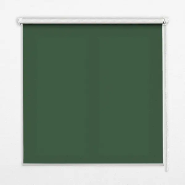 Fenster rollo Grün