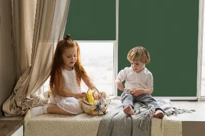 Fenster rollo Grün