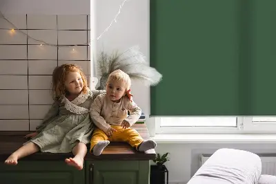 Fenster rollo Grün