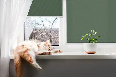 Fenster rollo Grün