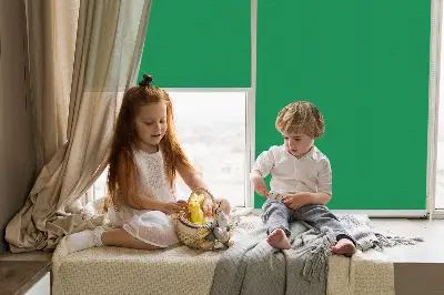 Rollo lichtundurchlässig Grün