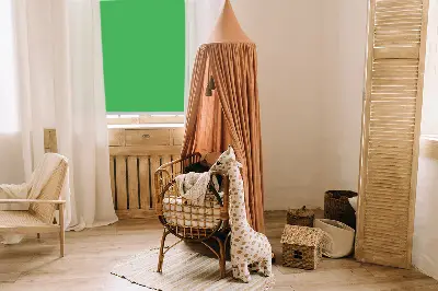 Verdunkelungsrollo Grün