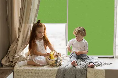 Fenster rollo Grün