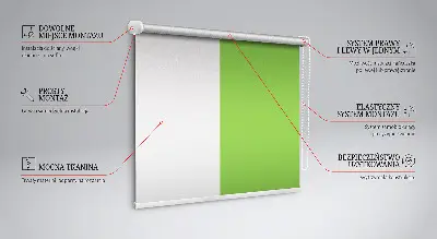 Fenster rollo Grün