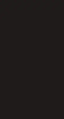 Verdunkelungsrollo Schwarz