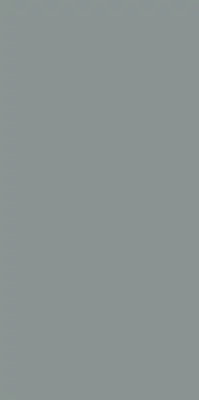 Fenster rollo Grau